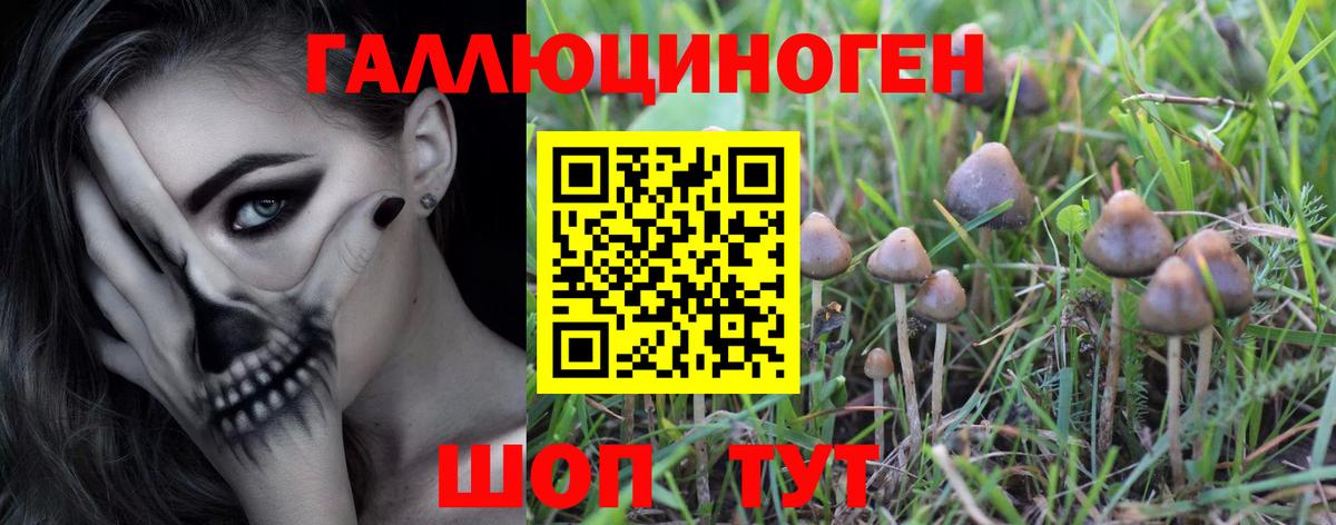 Галлюциногенные грибы MAGIC MUSHROOMS  Галлюциногенные грибы Cubensis  Ростов-на-Дону  Вход с VPN 
